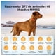 thumbnail image 5 of GPS 4G Rastreador MICODUS MP50G 4G ANIMAL + Configuración + Sim, 5 of 8