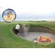 thumbnail image 5 of Juego de golf Vegas Golf High Roller Edition con 15 fichas, 5 of 9