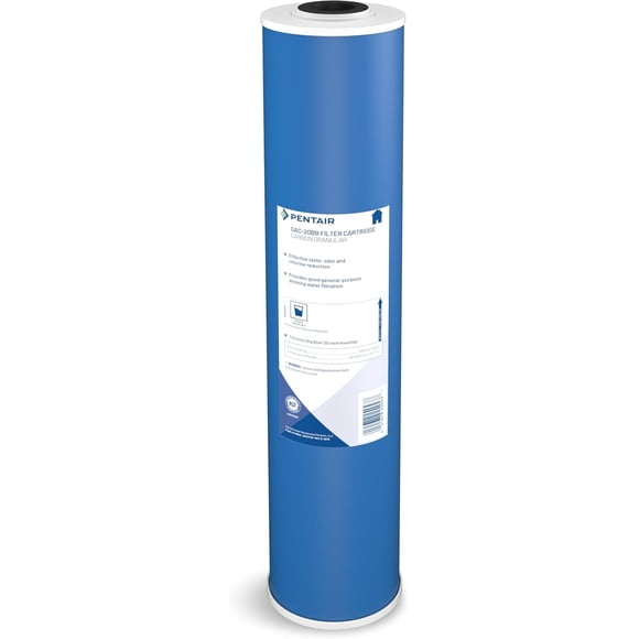 Filtro de agua Pentair Pentek GAC-20BB Big Blue Carbon