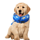 thumbnail image 5 of La Huella De Pata Azul Llena El Collar De La Cerca De Seguridad Para Mantener A Su Mascota Segura En El Lado Derecho De La Cerca., 5 of 5
