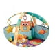 thumbnail image 3 of Gimnasio Piscina Pelotas 3 en 1 Tortuga, 3 of 3