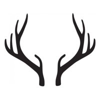 Rienda Libre Graphics - Decomural Deer Antlers Stag Animals Ws-44166