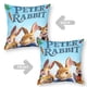 thumbnail image 2 of Peter Rabbit Fundas de almohada de terciopelo con tema, regalos de funda de almohada, decoración para el hogar, cojín de lanzar, regalo de cumpleaños para fans y parejas.61*61cm., 2 of 6