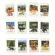 thumbnail image 1 of Montessori Animal Matching Card Cognitive Kids Educational Toy Animal Insect Farm Zoo Preschool Toddler Language Learning Card, 1 of 3