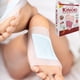 thumbnail image 3 of Parches Desintoxicantes Pies Ginseng Energía 9 Pack Jhn, 3 of 3