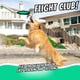 thumbnail image 3 of Disco para perro Hyper Pet Flippy Flopper de 9 pulgadas, 3 of 3