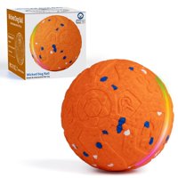 Pelota De Juguete Interactiva Para Perros Jeisothb Para Perros De Tamaño Mediano Y Grande