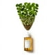 thumbnail image 5 of Skin1004 Ampolla Calmante De Centella asiática De Madagascar 100 Ml, 5 of 7
