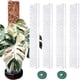 thumbnail image 2 of Polo de musgo plástico de 17 pulgadas de 6 piezas para plantas, polos de planta de 17 * 3 '' para plantas de escalada, soporte de planta para plantas de interior trabajan con musgo de esfago, 2 of 3