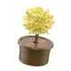 thumbnail image 5 of Novedad Crystal Trees Growing Kit Aprendizaje De Juguetes Educativos Para Niños Amarillo, 5 of 5