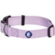 thumbnail image 1 of Collar para perro Blueberry Pet Essentials, lavanda, nailon, tamaño mediano, 1 of 6
