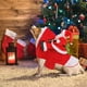 thumbnail image 5 of Ropa De Navidad Para Perros Y Gatos, Diseño De Papá Noel De Trineo, Para Perros Y Gatos Pequeños, Medianos Y Grandes, Rojo, M, 5 of 6