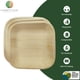thumbnail image 2 of Platos desechables de hoja de palma Charity Leaf de 6 pulgadas (50 unidades), 2 of 7
