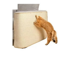 Citohome - Rascador Gato Sillón - Muebles Tipo Alfombra