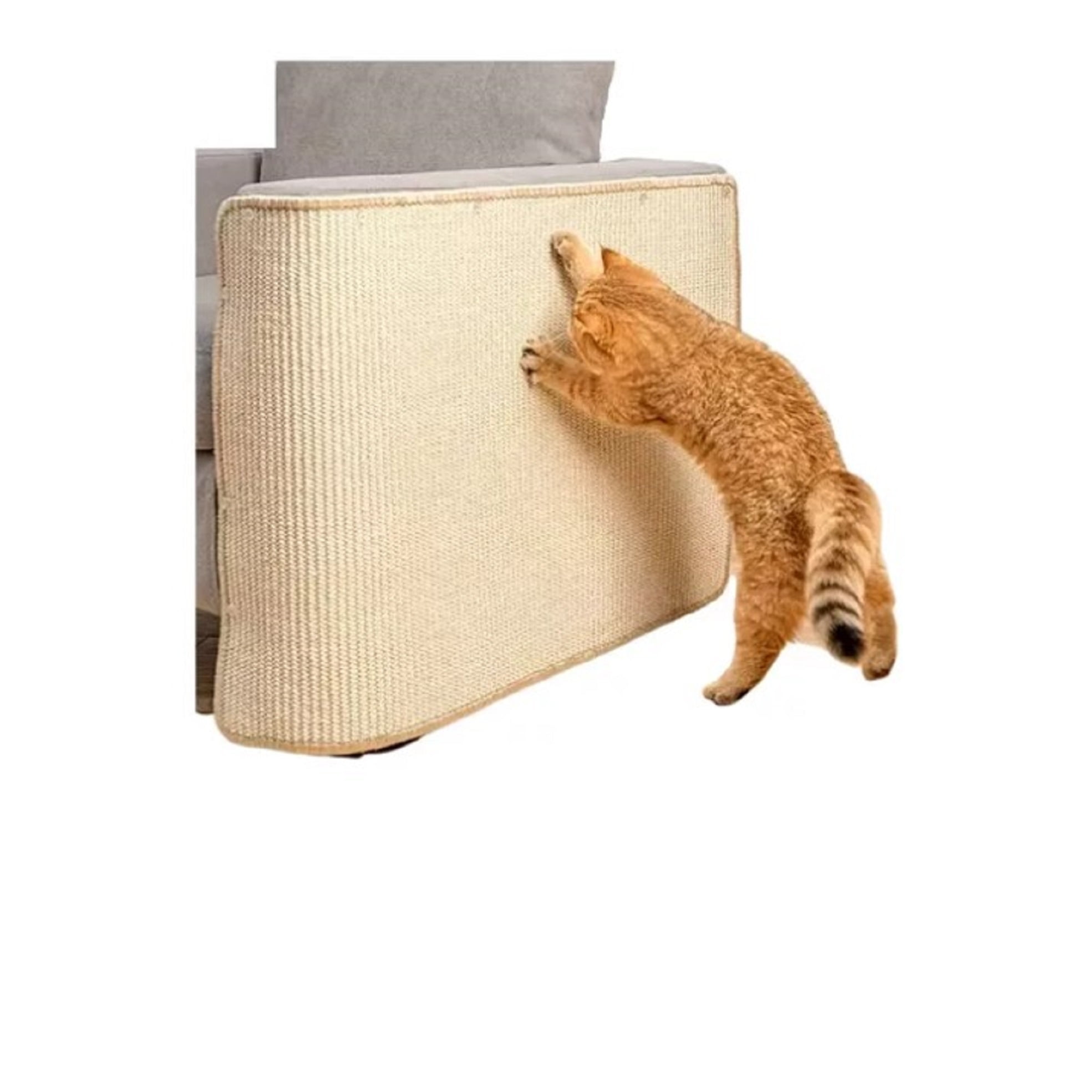 Citohome - Rascador Gato Sillón - Muebles Tipo Alfombra