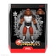 thumbnail image 2 of Figura de acción Super7 ULTIMATES! Thundercats Grune de 18 cm con Acc, 2 of 5