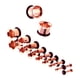 thumbnail image 1 of Calibradores de oído de acero inoxidable de 9 pares que estiran los tapones del túnel 14g-00g de oro rosa, 1 of 5
