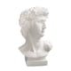 thumbnail image 4 of Jardinera De Estatua De Busto Decorativo De Maceta De Plantas De David De Mitología Griega, 4 of 5