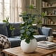 thumbnail image 3 of Planta Artificial Ficus Decorativa Maceta Decoracion Hogar beige, 3 of 9