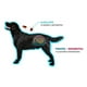 thumbnail image 2 of Simparica Trio Antiparasitario X1 Comp Perros 40 - 60 Kg, 2 of 3