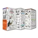 thumbnail image 1 of Guia Desplegable Aves Marinas Y Playeras De Chile, 1 of 2