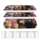 thumbnail image 2 of How to Train Your Dragon 3-Piece Bedding Set Duvet Cover Set Soft Warm And Comfortable Soft Bed Set for Bedroom, 2 of 5