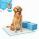 thumbnail image 1 of 20 Pañales Sabanillas Entrenamiento Absorbentes Mascota Perros 60x90cm, 1 of 6