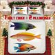 thumbnail image 1 of 3pcss Soft Printed Bedding Set Polyester Fabric Decorative & Warm Ideal for Bedroom or Guest Room, 1 of 5