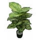 thumbnail image 2 of Planta Artificial Decorativa Adorno Vegetación Tropical Jhn, 2 of 3