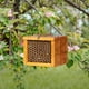 thumbnail image 5 of Casa para abejas solitarias POLLIBEE con recubrimiento de cera, hotel de madera para abejas, 5 of 9