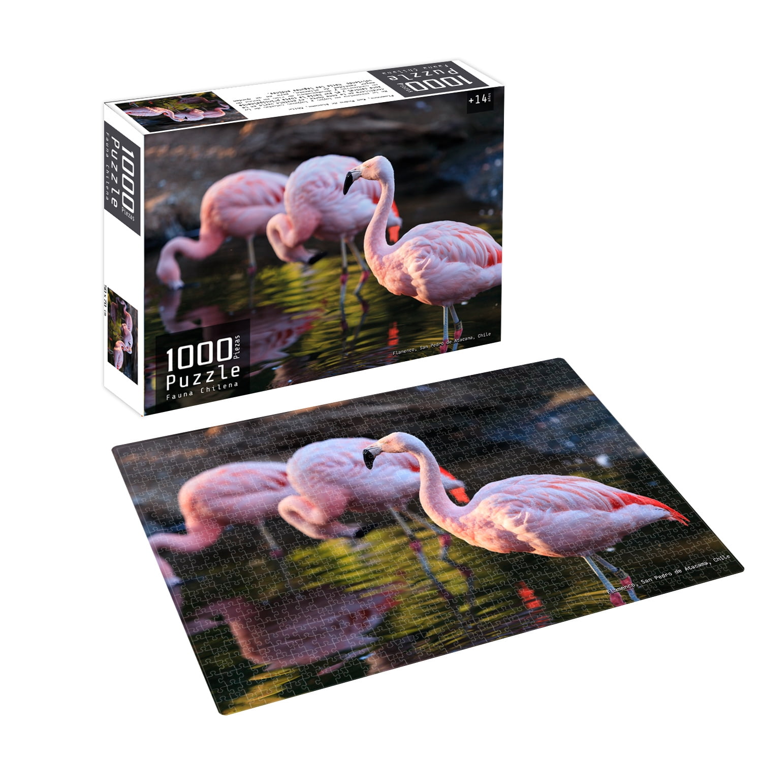 Nobel Gift - Puzzle 1000 Piezas Fauna Chilena Flamenco