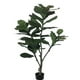 thumbnail image 1 of Planta Decorativa Árbol De Fiddle 150 Cm, 1 of 2