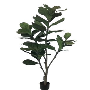 Corel - Planta Decorativa Árbol De Fiddle 150 Cm