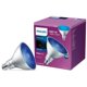 thumbnail image 1 of Bombilla LED Philips PAR38 azul para fiestas, 13,5 W, E26, 120 V, 1 of 2