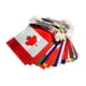 thumbnail image 2 of Conjunto De Pancartas De Banderas De Cuerda Mundial De Poliéster Para Festivales, Decoraciones Para Fiestas, Regalo, 14cm X 21cmX30M, 2 of 5