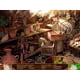 thumbnail image 4 of Juego Microsoft Kate Arrow: Bosque Desierto para Windows, 4 of 5