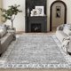 thumbnail image 1 of Area Rug Jinchan, lavable, pelo bajo, 6 x 9 pies, resistente a las manchas, gris, 1 of 8