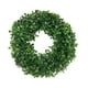 thumbnail image 1 of Guirnalda Artificial Suministros De Fiesta Aro Floral Para Decoración Al Aire Libre S, 1 of 3