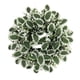 thumbnail image 1 of Corona Grande De Hojas Verdes, Corona Navide?a Artificial Para Ventana De Patio, Boda, Estilo C, 1 of 5