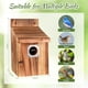 thumbnail image 2 of Juego de casitas para pájaros de exterior JZTKQTM con protectores metálicos y seguros, 2 of 7