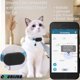 thumbnail image 5 of Funda de silicona negra para SmartTag2 Counlisha – Pack de 2, 5 of 7