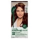 thumbnail image 1 of Tinte para el cabello Clairol Root Touch-Up Natural Instincts 4R Auburn, 1 of 3