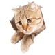 thumbnail image 1 of Pegatina Divertida Para Inodoro De Gato De Dibujos Animados, Funda Para Asiento De Inodoro, Pegatina Para Lavabo De Ba?o, 21cm X 23cm, 1 of 5