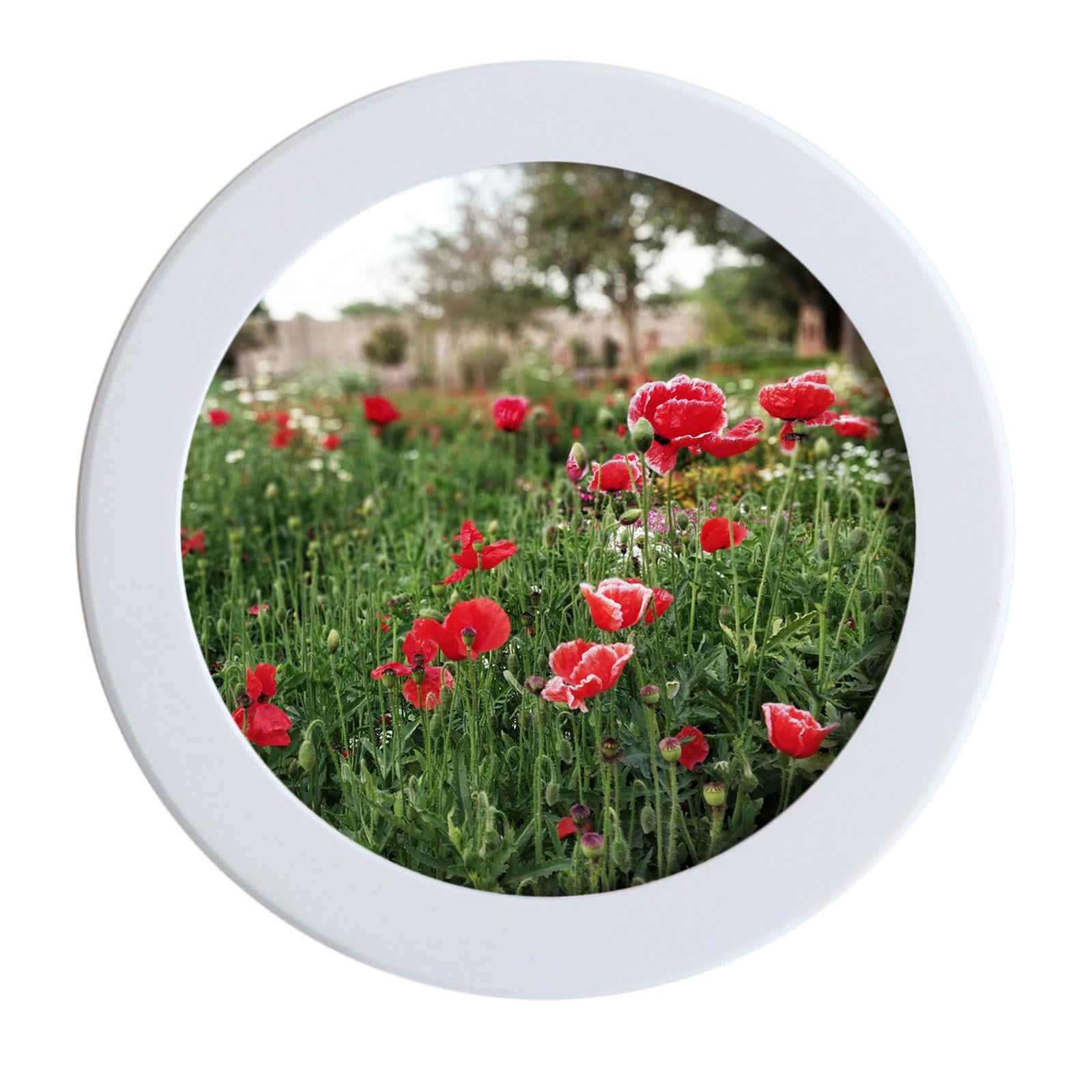 Magideal - Marco De Fotos Moderno, Portafotos, Marco De Exhibición De Fotos De Montado En La Pared Para La Decoración Del Hogar Del Dormitorio Familiar Redondo