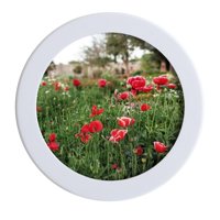 Magideal - Marco De Fotos Moderno, Portafotos, Marco De Exhibición De Fotos De Montado En La Pared Para La Decoración Del Hogar Del Dormitorio Familiar Redondo