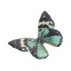 thumbnail image 1 of Unique Bargains 1 Pc Pinzas para el Cabello de Mariposa de Pato Clip para Peinado en Casa Negro, 1 of 5
