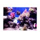 thumbnail image 2 of Póster De Paisaje De Pecera De Acuario 3D, Fondo De Pared De Pecera, 76x56cm, 2 of 5
