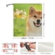 thumbnail image 2 of Bandana Desmarcar Shiba Inu, 2 of 6