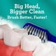 thumbnail image 2 of GuruNanda Gentle Giant Toothbrush with Dual Action Flossing, 2 of 3