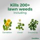 thumbnail image 2 of Fertilizante Greenview Fórmula Premium 16,3 kg Weed & Feed, 2 of 9